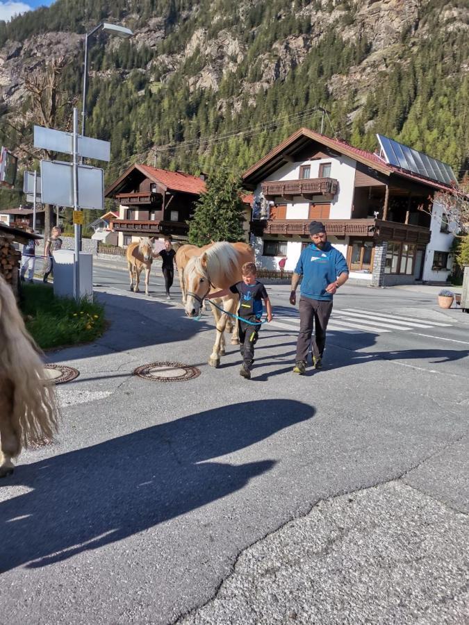 Honzarhof *